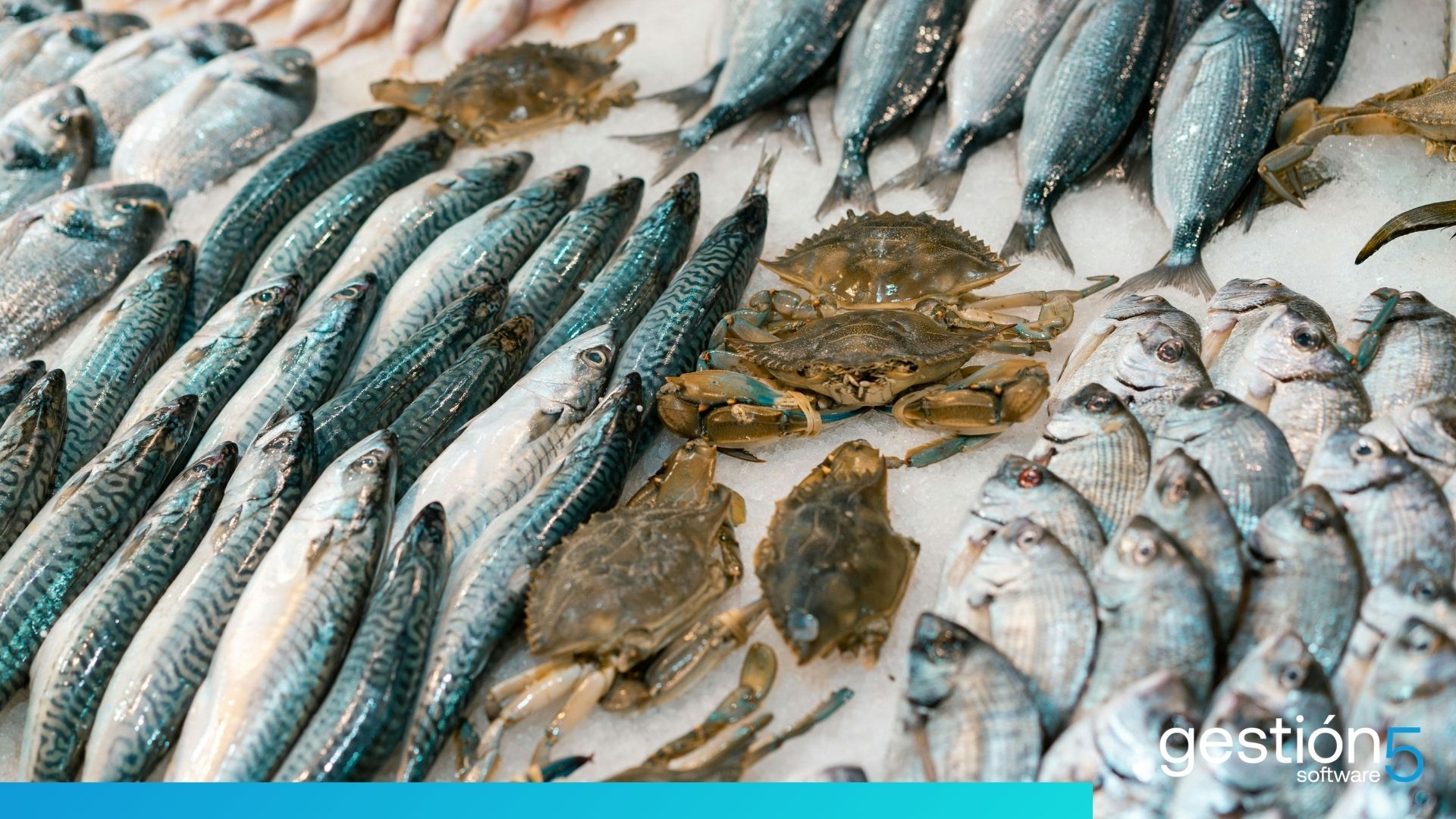 trazabilidad pescado